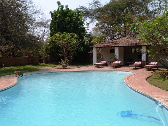 Kapani Lodge - Pool 